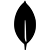 mongodb
